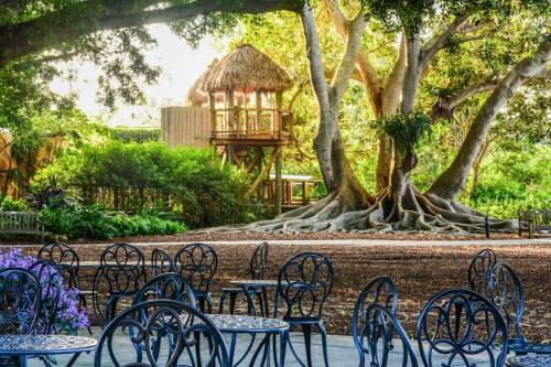 A serene outdoor scene featuring a treehouse, large tree with exposed roots, and empty wrought-iron chairs.