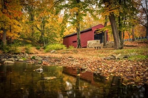 A red covered bridge surrounded by autumn foliage, reflecting in a calm stream with fallen leaves on the ground.