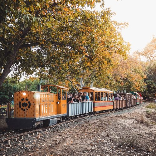 A colorful train with passengers travels through a scenic area with autumn foliage.