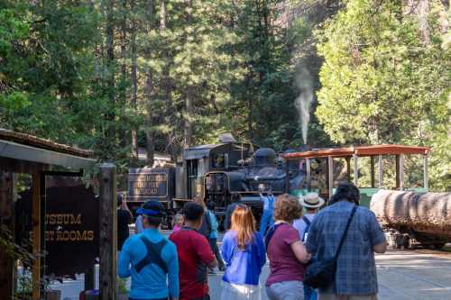 A steam locomotive in a forest setting, with visitors taking photos and enjoying the scenery.