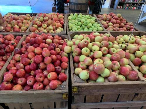 Baskets filled with red and green apples arranged in a market setting.