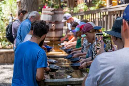 A group of people panning for gold at a wooden trough in a forested area, enjoying a sunny day outdoors.