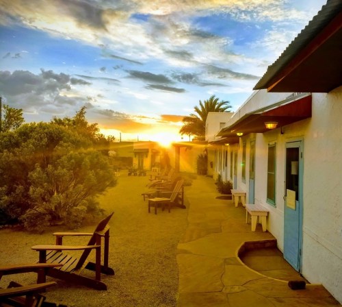 Sunset view over a desert courtyard with wooden chairs and a white building, surrounded by shrubs and palm trees.