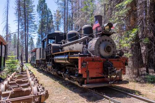 A vintage steam locomotive with an American flag, surrounded by tall trees in a forested area.