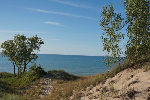 A serene beach scene with gentle waves, sandy dunes, and green trees under a clear blue sky.
