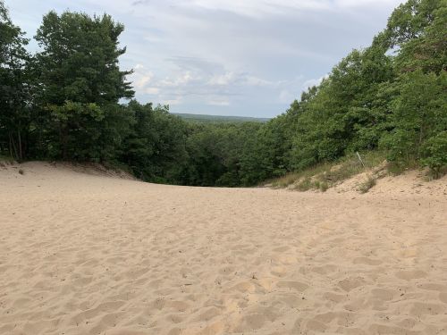 A sandy dune surrounded by lush green trees, leading down into a valley under a cloudy sky.