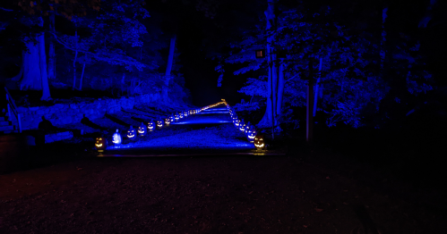 A dark pathway illuminated by blue lights and lined with glowing jack-o'-lanterns on either side.
