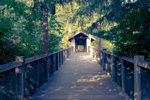 A wooden walkway leads to a covered structure, surrounded by lush green trees and foliage.
