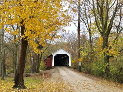 A covered bridge surrounded by autumn trees with yellow leaves, leading down a gravel path.