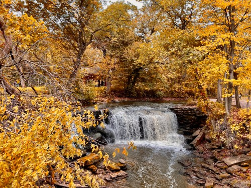 A serene waterfall surrounded by vibrant autumn foliage in a peaceful forest setting.