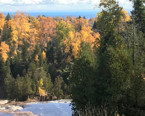 A scenic view of a forest with vibrant autumn foliage and a river flowing through, under a clear blue sky.