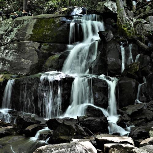 A cascading waterfall flows over dark rocks, surrounded by lush greenery and trees.