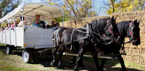 A horse-drawn wagon carries a group of people through a scenic area with trees and a rustic backdrop.