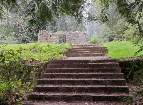 Stone steps lead up to a weathered stone structure, surrounded by lush greenery and misty trees.