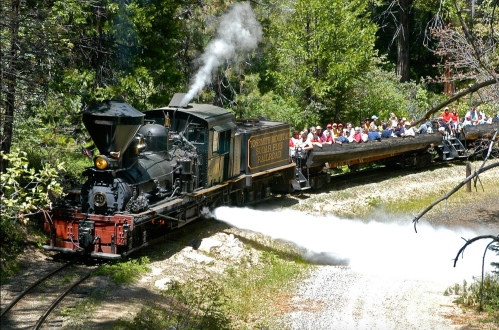 A vintage steam train travels through a forest, with passengers enjoying the ride on an open-air car.