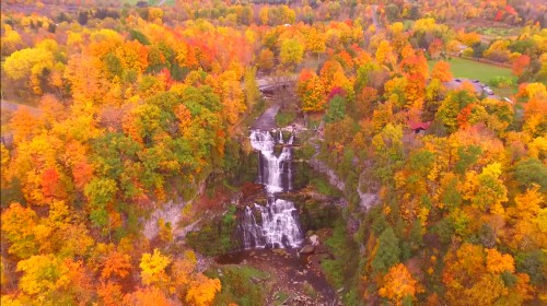 Aerial view of a waterfall surrounded by vibrant autumn foliage in shades of orange, yellow, and green.