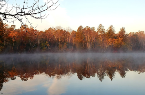 A serene lake at dawn, reflecting colorful autumn trees and a light mist rising from the water.