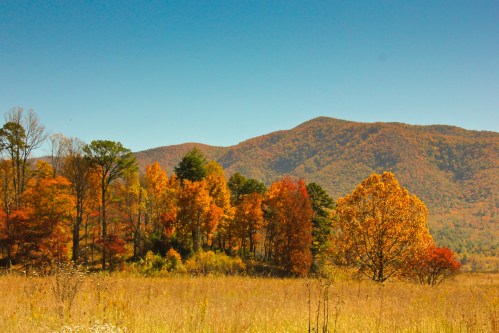 A vibrant autumn landscape with colorful trees and rolling mountains under a clear blue sky.