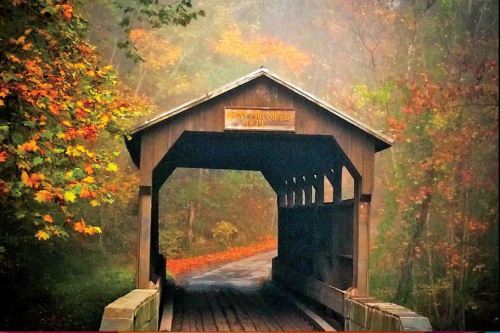 A wooden covered bridge surrounded by colorful autumn foliage in a misty forest.