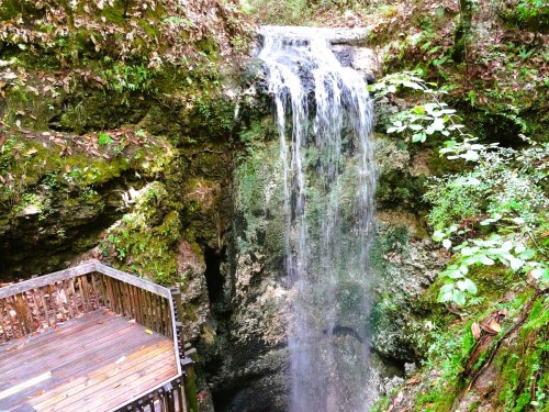 A serene waterfall cascading over rocky terrain, surrounded by lush greenery and a wooden viewing platform.