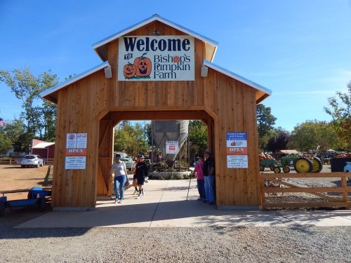 Entrance to Bishop's Pumpkin Farm, featuring a wooden archway with a welcome sign and visitors entering the farm.