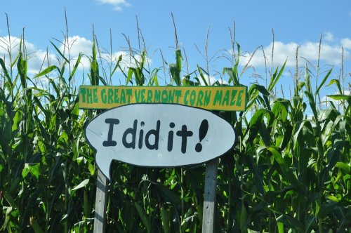 Sign in a corn maze reads "The Great Vermont Corn Maze" with a speech bubble saying "I did it!" against a cornfield backdrop.