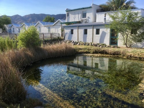 A serene pond reflects a white building and surrounding greenery, with mountains in the background under a clear sky.