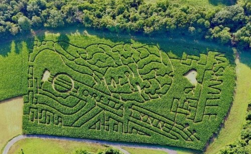 Aerial view of a large corn maze featuring intricate designs and patterns surrounded by greenery.
