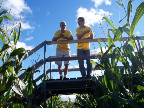 Two people in yellow shirts stand on a wooden platform surrounded by tall corn plants under a blue sky.