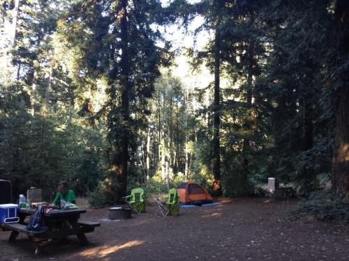 A campsite in a forest with a picnic table, green chairs, a tent, and a person preparing food among tall trees.