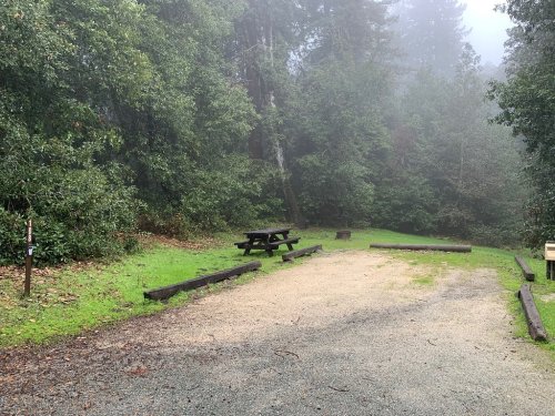 A misty forest clearing with a picnic table and gravel path surrounded by lush greenery.