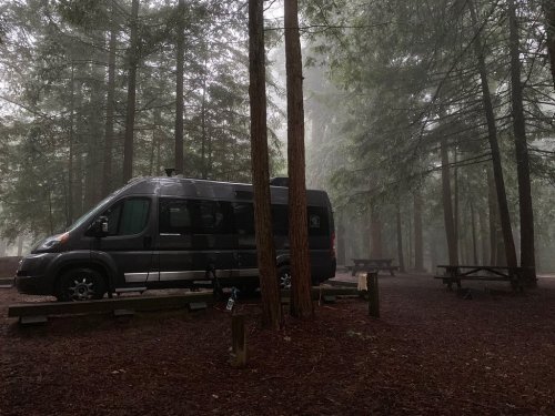 A dark camper van parked in a misty forest, surrounded by tall trees and picnic tables.