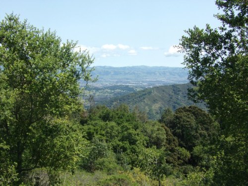 A scenic view of rolling hills and valleys, framed by lush green trees under a clear blue sky.