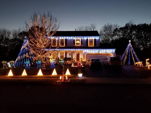 A house decorated with colorful Christmas lights, featuring trees, reindeer, and glowing ornaments, set against a twilight sky.