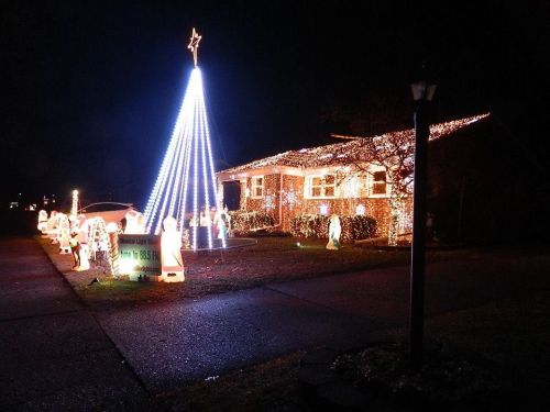 A house decorated with bright Christmas lights, featuring a large illuminated tree and festive figures in the yard.