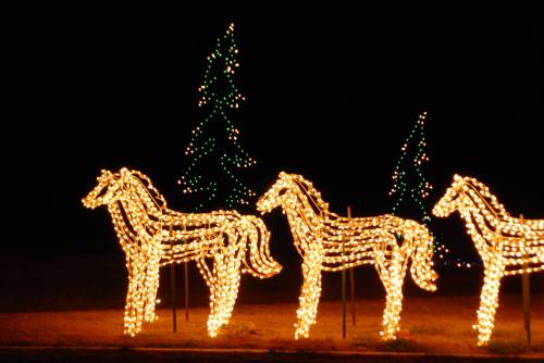 Three illuminated horse figures made of lights, with green and red Christmas trees in the background at night.