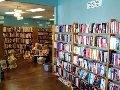 A cozy bookstore aisle filled with shelves of books, featuring a section for young adult and new adult titles.