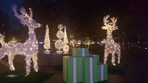 Two illuminated reindeer and decorative trees surrounded by large green and white gift boxes at night.