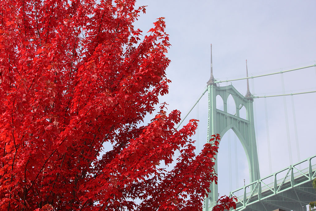 Factory Autumn in Cathedral Park (St. Johns Bridge)