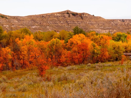 Vibrant autumn trees in shades of orange and yellow against a rugged, hilly landscape.