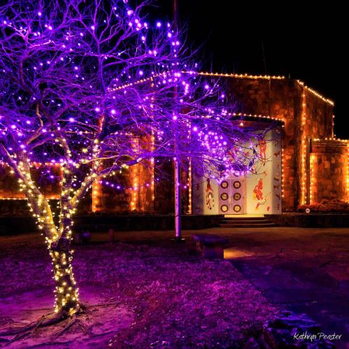 A tree adorned with purple lights stands in front of a warmly lit building, creating a festive atmosphere.
