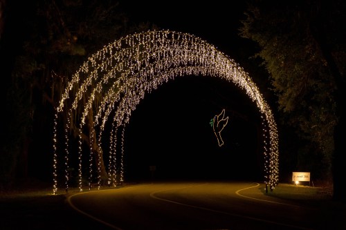 A dark road leads under a glowing arch of string lights, with a silhouette of a bird and a sign nearby.