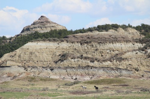 Two horses graze in a grassy area with layered rock formations and a prominent hill in the background under a blue sky.