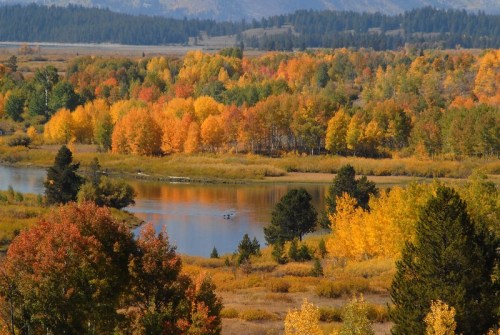 A vibrant autumn landscape featuring colorful trees reflecting in a calm river, surrounded by mountains.