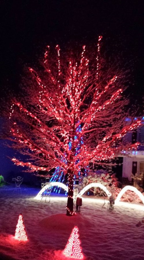 A snowy yard at night featuring a brightly lit red tree and illuminated decorations in the shape of cones.