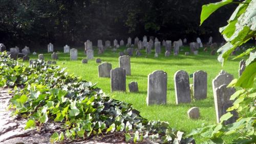 A serene graveyard with numerous headstones set in lush green grass, surrounded by ivy-covered stones.