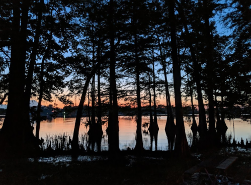 Silhouetted trees by a calm lake at sunset, with vibrant colors reflecting on the water's surface.