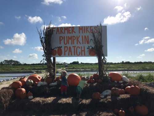 Children play near a sign for "Farmer Mike's Pumpkin Patch," surrounded by pumpkins and a sunny sky.