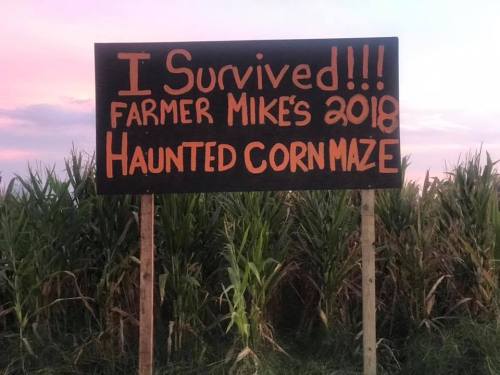 A sign reading "I Survived!!! Farmer Mike's 2018 Haunted Cornmaze" stands in front of a cornfield at sunset.