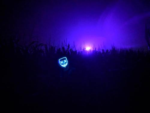 A glowing blue mask with a mischievous grin in a dark, foggy field illuminated by purple light.